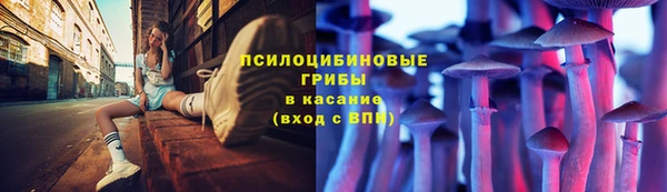 ECSTASY Покров