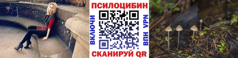 Псилоцибиновые грибы MAGIC MUSHROOMS  купить   Холмск 