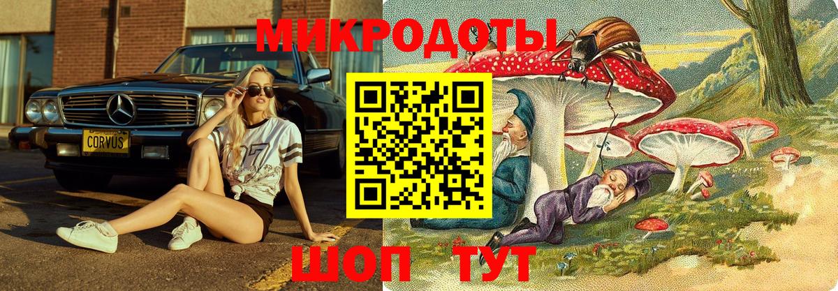 Холмск  Галлюциногенные грибы GOLDEN TEACHER  Вход с VPN 