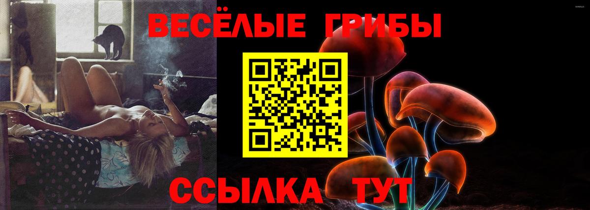 Галлюциногенные грибы MAGIC MUSHROOMS Холмск